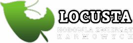 Locusta - hodowla zwierząt karmowych