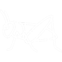 Szarańcza 